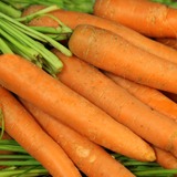 Carrots-