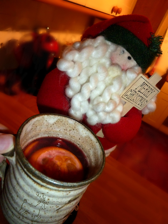 Mulled Wine of Sally Newbold - Recipefy