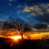 3621499319_tumblr_lzarnxqm9u1qc2aolo1_500-jpg%7d