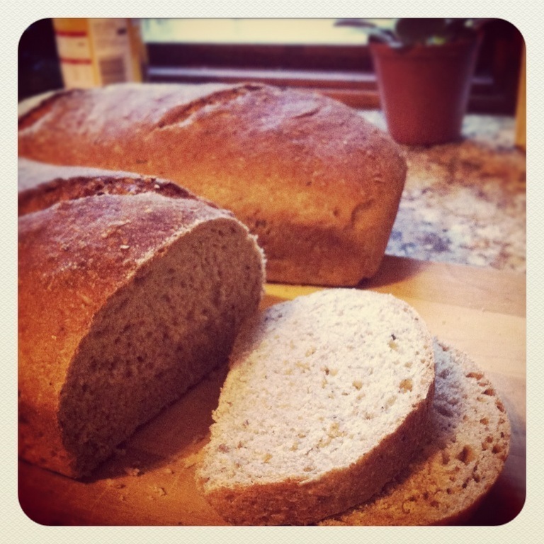 Spent Grain Bread de Rhoda Rutherford - Recipefy