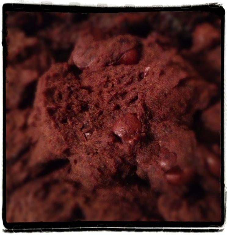 Vegan black bean double chocolate cookies of Kathleen Sandusky - Recipefy