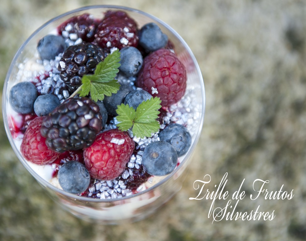 Trifle de Frutos Silvestres of Loacker Portugal - Recipefy