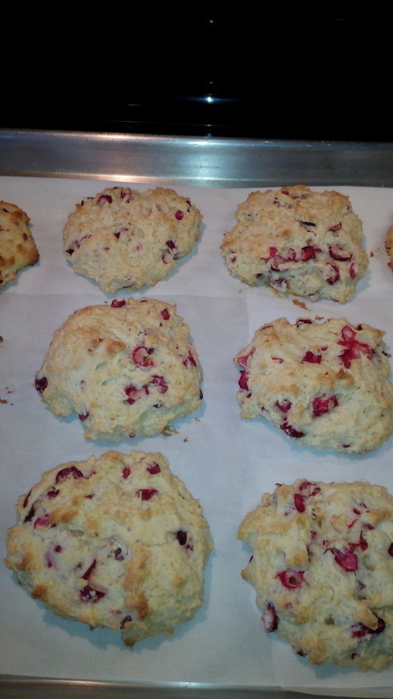 Fresh Cranberry Scones de Elaine Crawford Daguanno - Recipefy