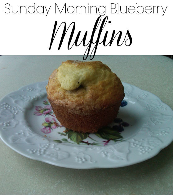 Sunday Morning Blueberry Muffins of Courtney Glantz - Recipefy