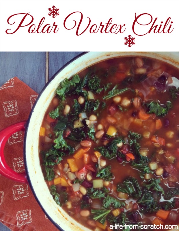 Polar Vortex Chili of Courtney Glantz - Recipefy