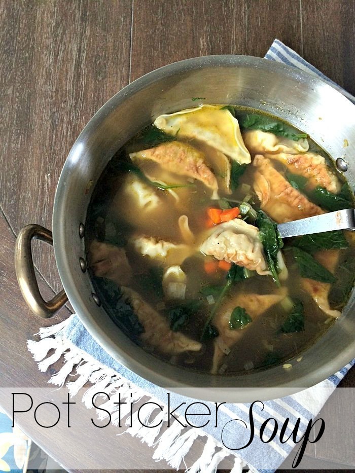 Pot Sticker Soup of Courtney Glantz - Recipefy