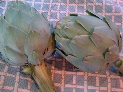 Jumbo Artichokes of Courtney Glantz - Recipefy