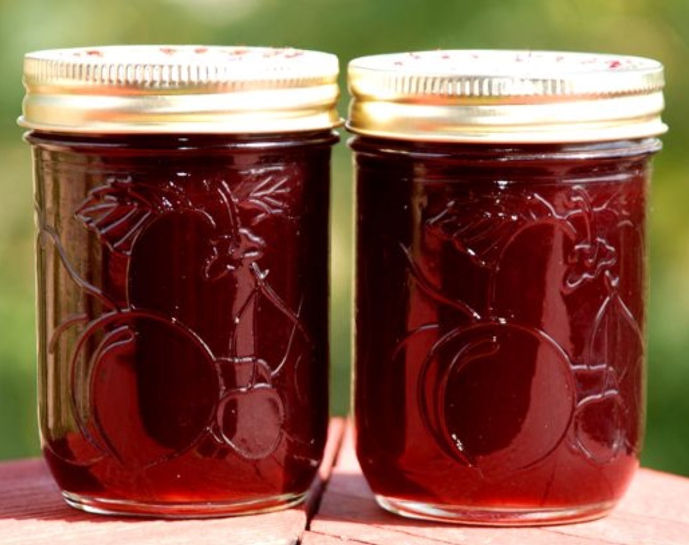 Chokecherry Jelly de Michele Poole - Recipefy