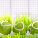 Tennis-ball-spinach-cakes
