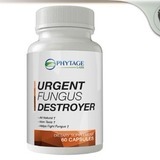 Urgent-fungus-destroyer-phytage-labs